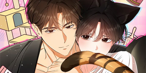 고양이 테라피